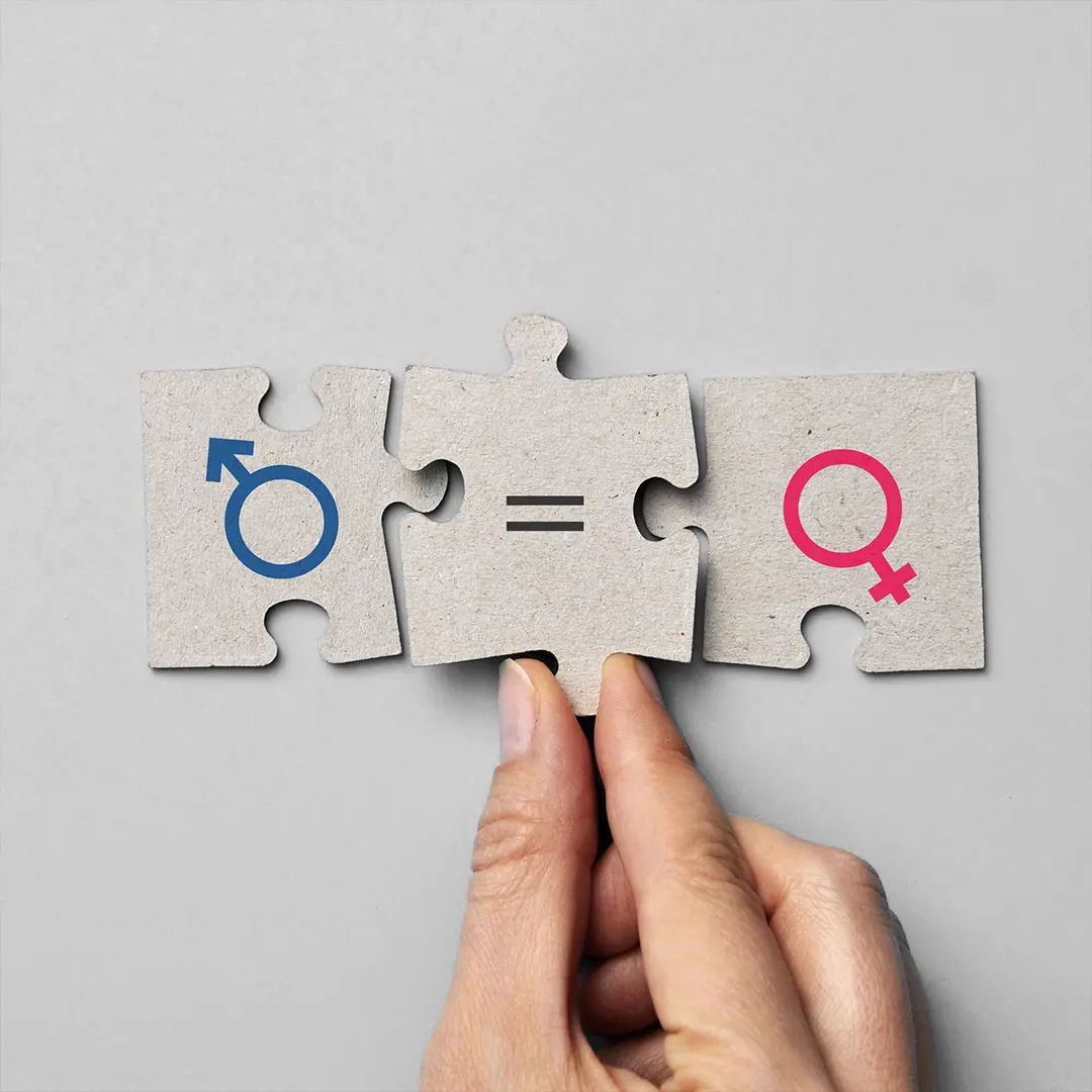 Consultorías en el SICA (2009-2012)