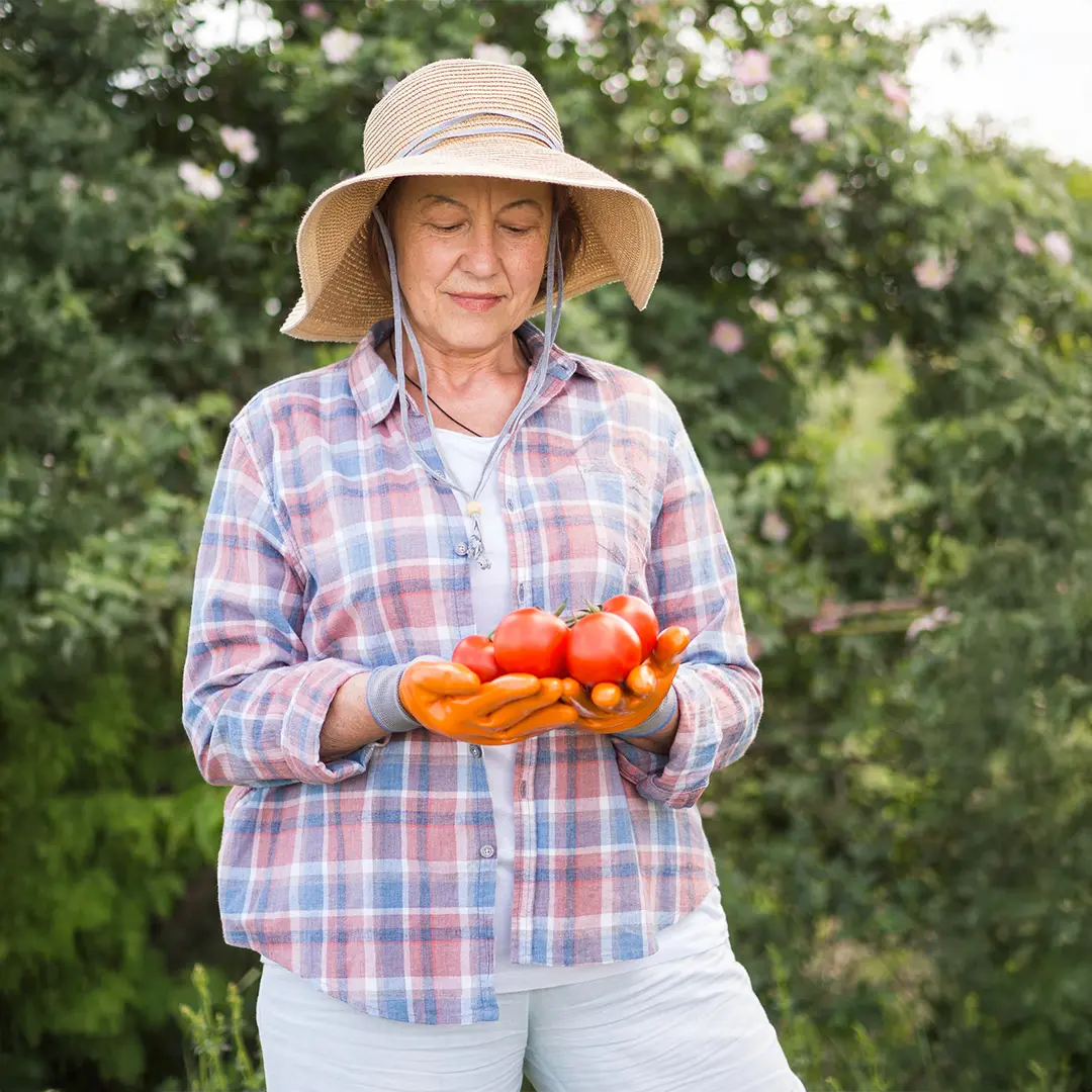 Género y Comercio Internacional (2024)
