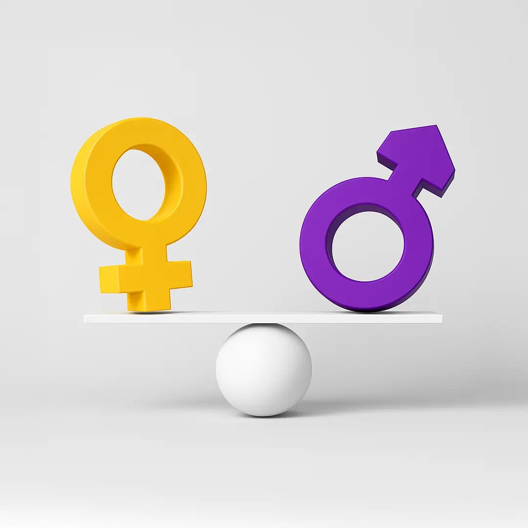 Gestión municipal y equidad de género (2005)